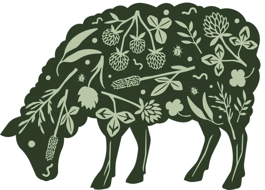 Lamb